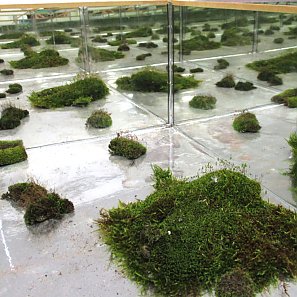 Atelierbesuch bei Sara Focke Levin