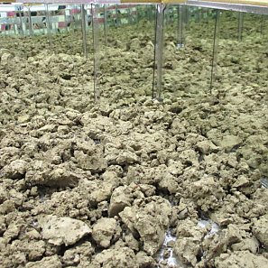 Atelierbesuch bei Sara Focke Levin