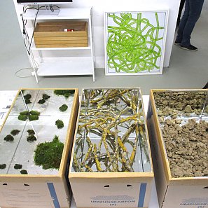 Atelierbesuch bei Sara Focke Levin