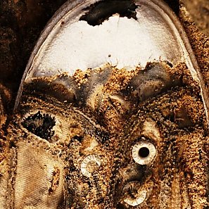 Ausstellung »… 1000 Odysseen. Das Wasser war viel zu tief«