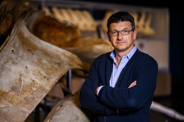 Matthias Glaubrecht Copyright UHH Sebastian Engels Fotografie